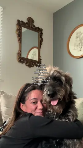 forever my sweet boy 🐾 