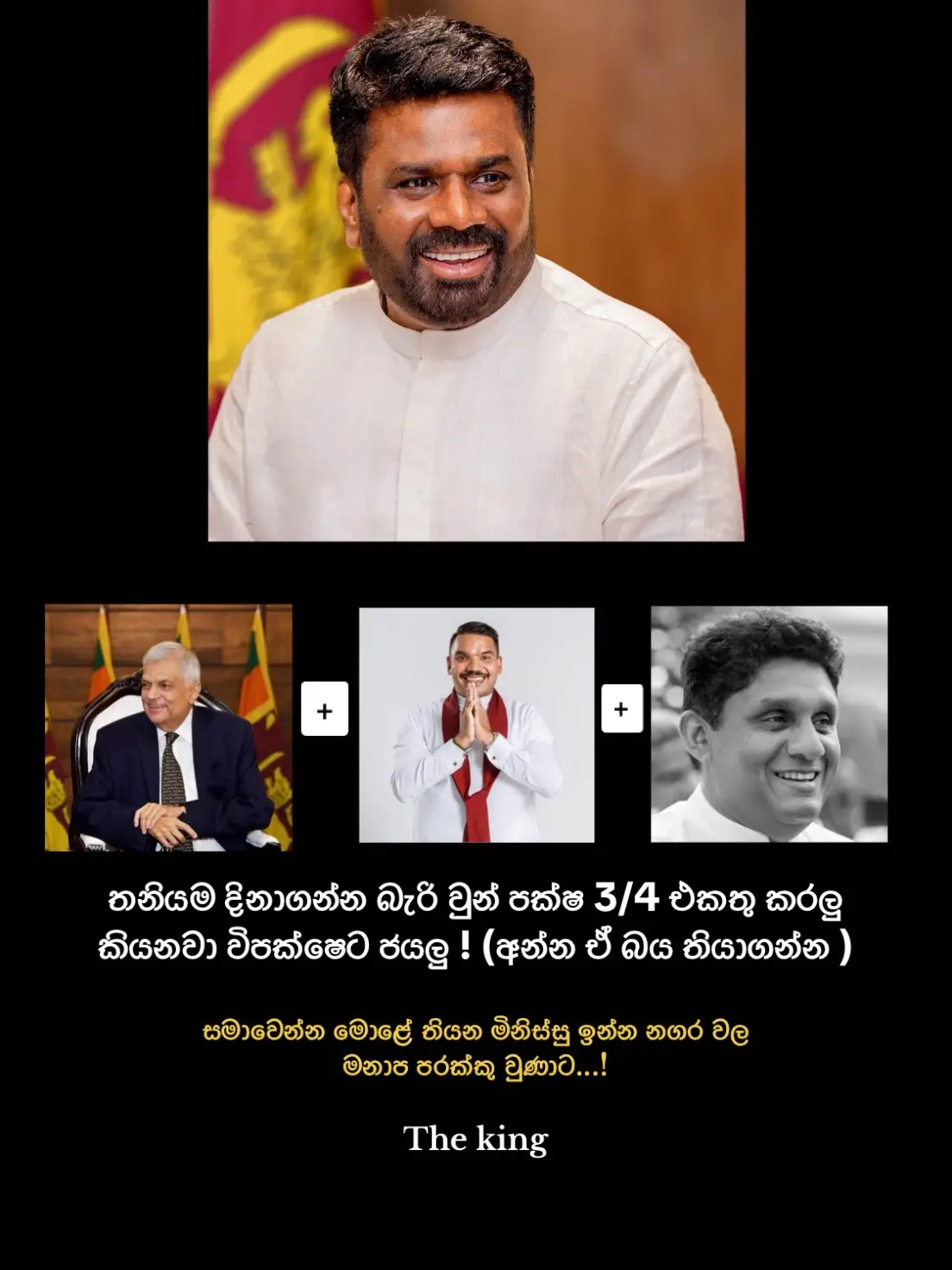#anurakumaradissanayaka #election #srilanka #fyp #downsouth🇱🇰 
