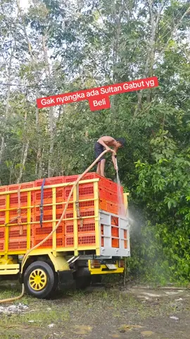 Semangat 💪☕ #4upageシ #trukayam #berandafyp #ayampotong #broiler #trukmaniaindonesia 