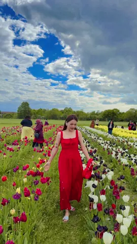 Uslai man pareko fuul ma 🌷❤️🥹🇬🇧@skysus02 #nepalisong #GlowUp #unitedkingdom #fypviral #nepaligirl #foryourpage #uk #viralvideo #london #tulipuk #flowers #family 