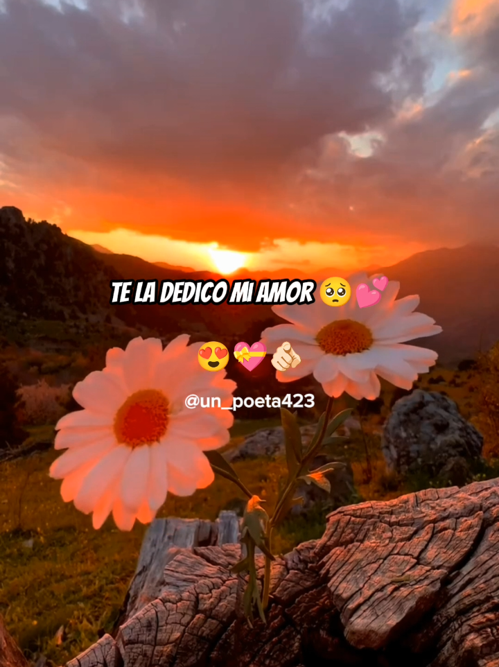 Estoy De Ti Enamorado 🥹💝💘💗 . . #parati #amor #pareja #videosdeamor #videosparadedicar 