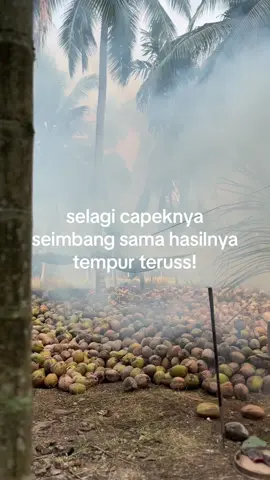 apa itu nyerah#petanikelapa🌴🌴 #fyp 