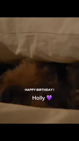 Dulu Yoongi pernah bikin parenting diary buat Holly. Dia nyebut dirinya ‘Daddy Holly’ dan sering nyatet momen-momen lucu Holly. Gemes banget 😭 Happy birthday guk guk 🐶 Hehehe holly sehat2 ya nak  #minyoongi #yoongi #holly #bts_official_bighit #armybts #fypage #holly #dog #fyp #suga #foryoupage #yoongibts 