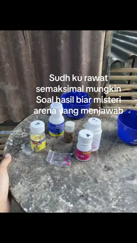 #katakata #ayampelipin🇵🇭🐓 #foryoupage #berandafyp #obatayam #fyppppppppppppppppppppppp 