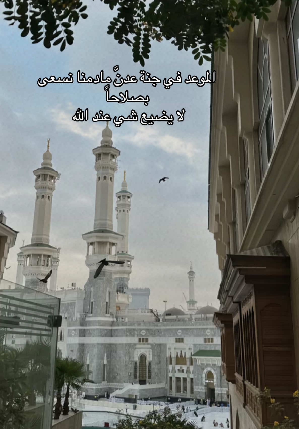 #اكسبلورexplore 