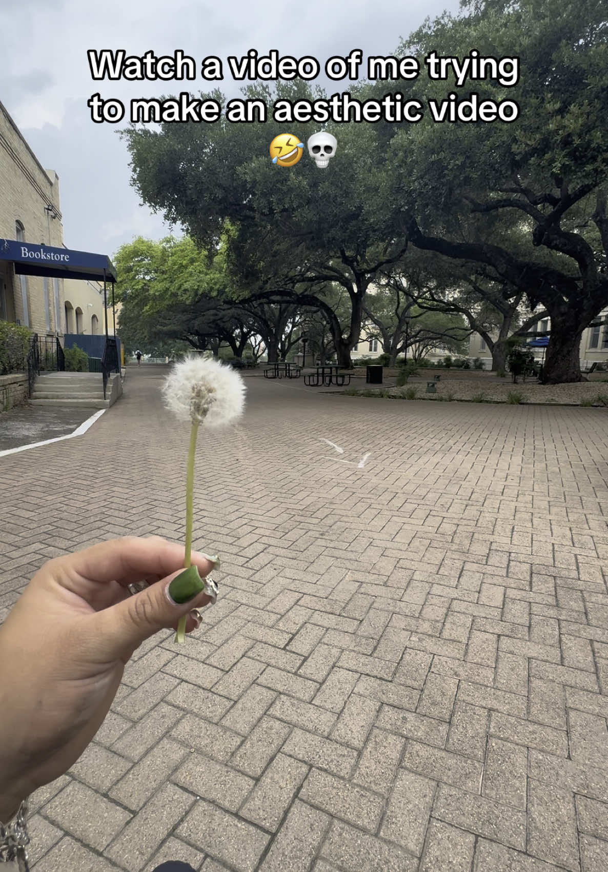 The dandelion wasn’t cooperating 😢 #fyp #funnyvideo #fail #laugh #humor   