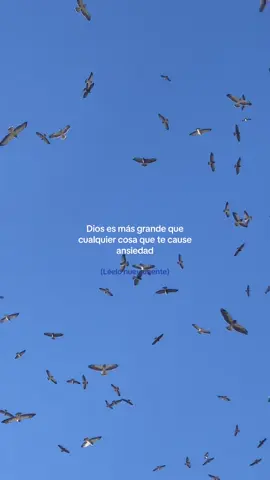 #jesuslovesyou #jesustieneelcontrol #elpoderdeDios #jesus #ansiedad 