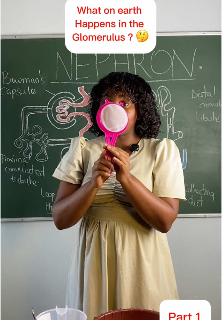 And the Essay begins…  Watch all kidney lessons in order in the kidney playlist.  #sustainableelimu #educationmatters #teachersoftiktok #fypシ゚ #biology 