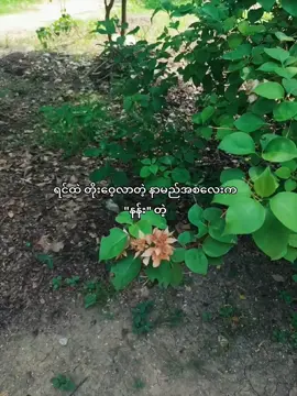 ... . ... #fyp #fpyシ #fyppppppppppppppppppppppp #foryoupage 