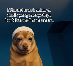 Anjay bet #sabar 