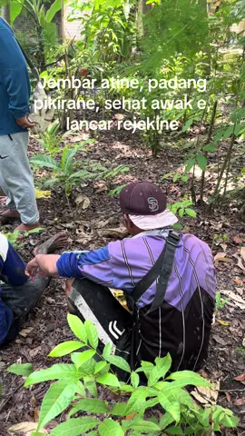 inna ma’al usri yusro😇☝️#petani #padahariini 