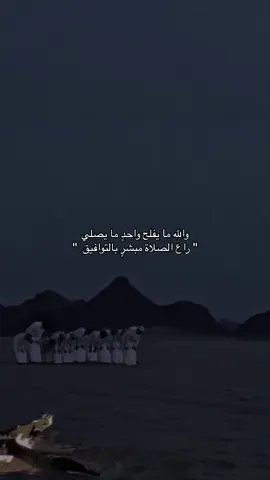 #الخبر #قطر #نجران #شعر 
