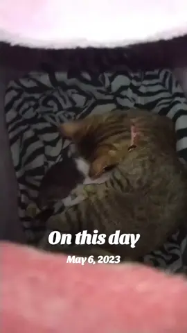 #onthisday