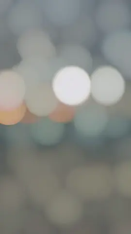 Beach life | eat - swim - sleep - repeat♾️