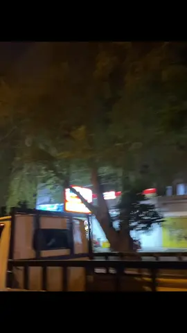 message in a bottle #messageinabottle #taylorswift #lyrics #lyricsvideo #song #songs #songlyrics #songwithlyrics #onerylyricsss #foryou 