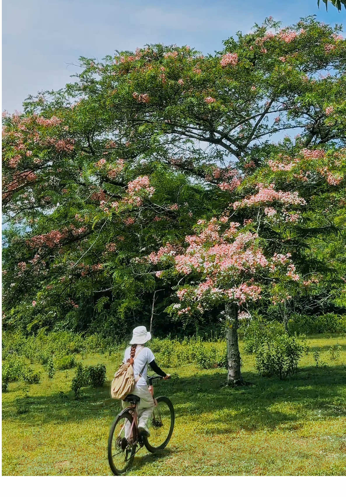 - “Chỉ sống thôi là chưa đủ, mà phải sống có ánh sáng, có tự do, có hương hoa ngào ngạt.” 🌸  #namcattien #namcattienationalpark #thang5 #rung #dongnai #dulich #travel #muahe