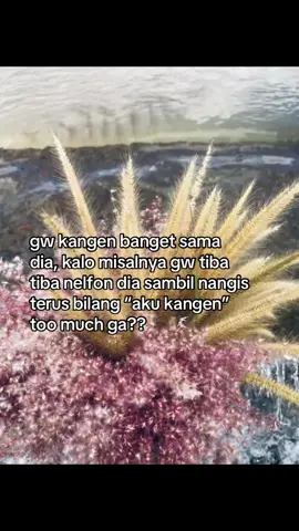 #galaubrutal #foryoupage #xybca #lewatberanda #fyp 