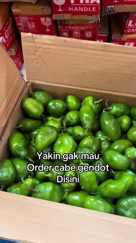 Ini kita packing cabe gendot yang kemasan 2 kg yah... #cabe #cabegendot #fyp 