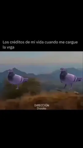 Algún día muy muy muy lejano XD XD XD #comediahumor #paratii #comedia #creditosfinales 