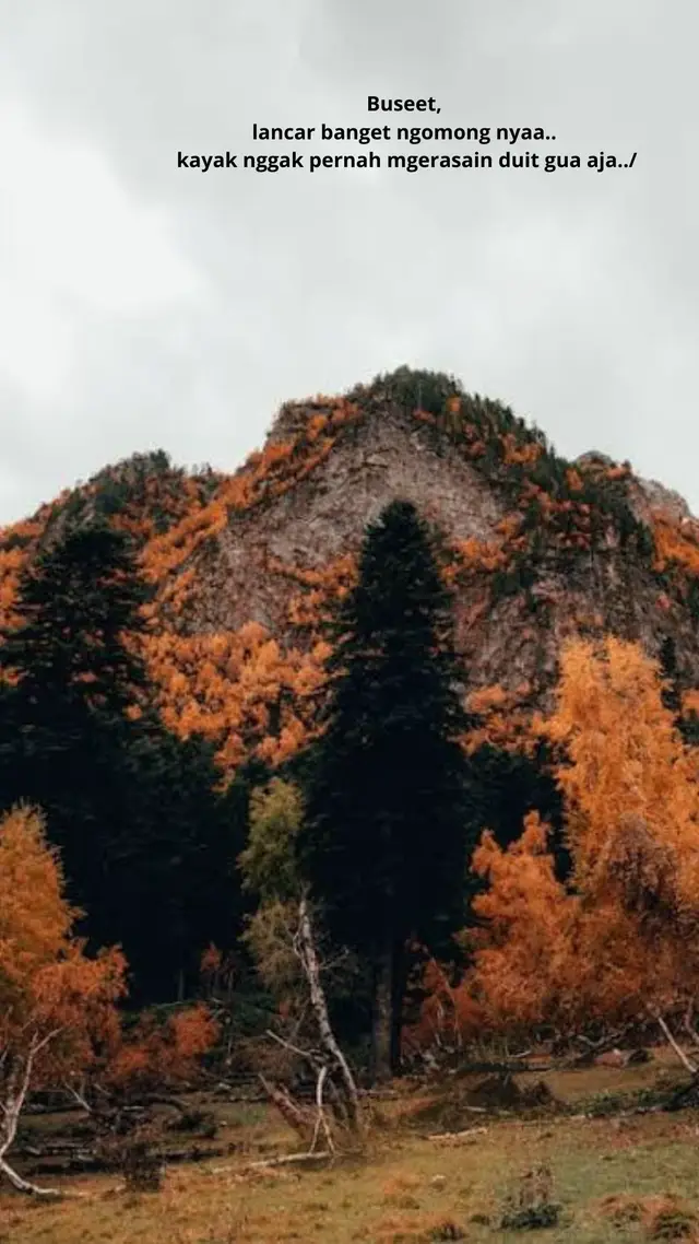 #katamutiara #katamotivasi #murahnikmatlezat #katakata #katabijak #katakatabijak #katakatamutiara #katakatahariini #katapenyemangat #kataindah #sindiranpedas #katasindiran