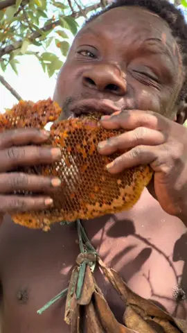 Even Bees 🐝 Fear CHAABA! Watch Hadzabe Tribe Hunter Enjoy Fresh Honey Straight From the Forest 🍯🐝