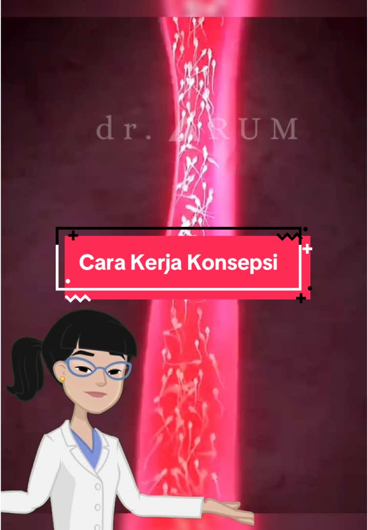 Cara Kerja Konsepsi👶🏻 #CaraKerjaKonsepsi #ProsesKehamilan #DariSelKeJanin #AwalMulaHidup #IlmuReproduksi #FaktaBiologi #KonsepsiItuApa #MisteriKehidupan #BelajarBareng #Edukasikita