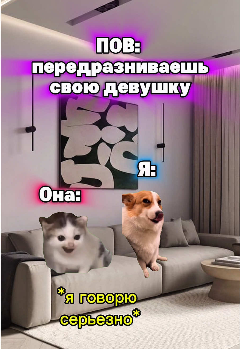 Жиза парочек🤣 #котята #мемы #жиза 
