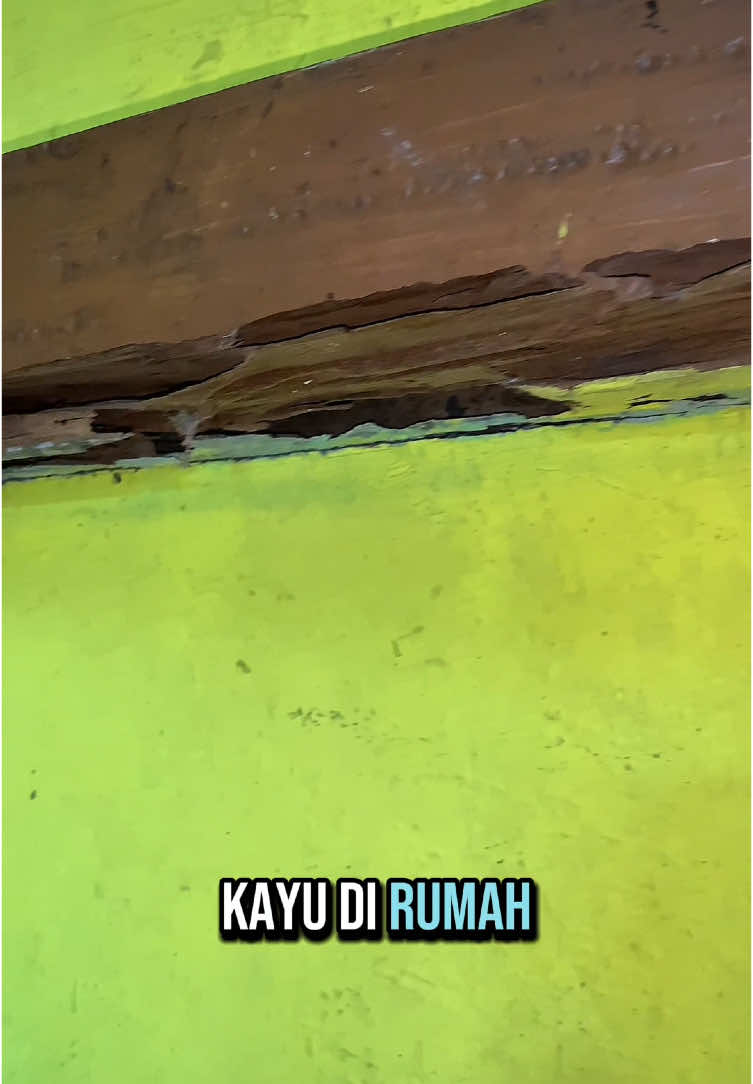 Jangan tunggu rugi jutaan rupiah gara” nonor kayu di rumah kalian, basmi nonor kayu pakai clen spesialis pembasmi nonor kayu🤩👇🏻 #obatteter #pembasmihama #pembasmiteterkayu #pembasminonorkayu #fypage 