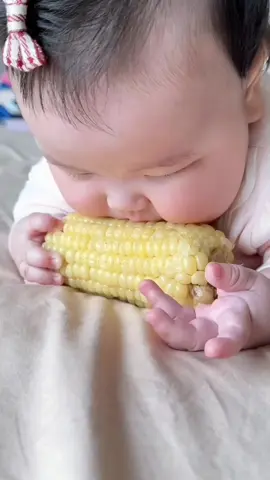 Tâm huyết lắm mà có được hạt nào đâu 😂