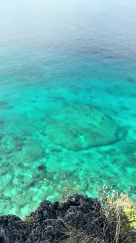 Gracefully gliding through the crystal-clear waters of Limasawa Island, a turtle embraces the freedom of the sea. 🐢 🌊 🏝️ #fyp #limasawaisland 
