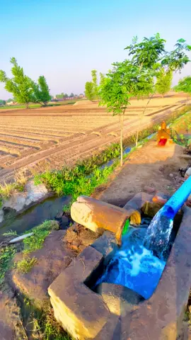 #sohnapind149 #trending #fyp #virelvideo 