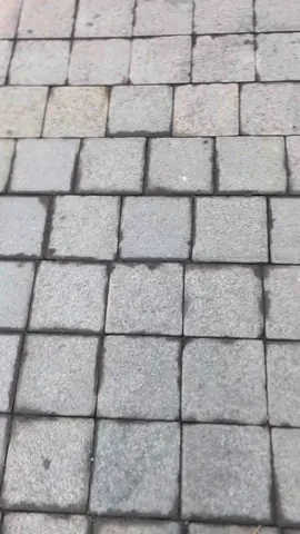 Howo adem#CapCut #wisatamagelang #ttpetualangpro #t #telomoyo #fyppppppppppppppppppppppp 