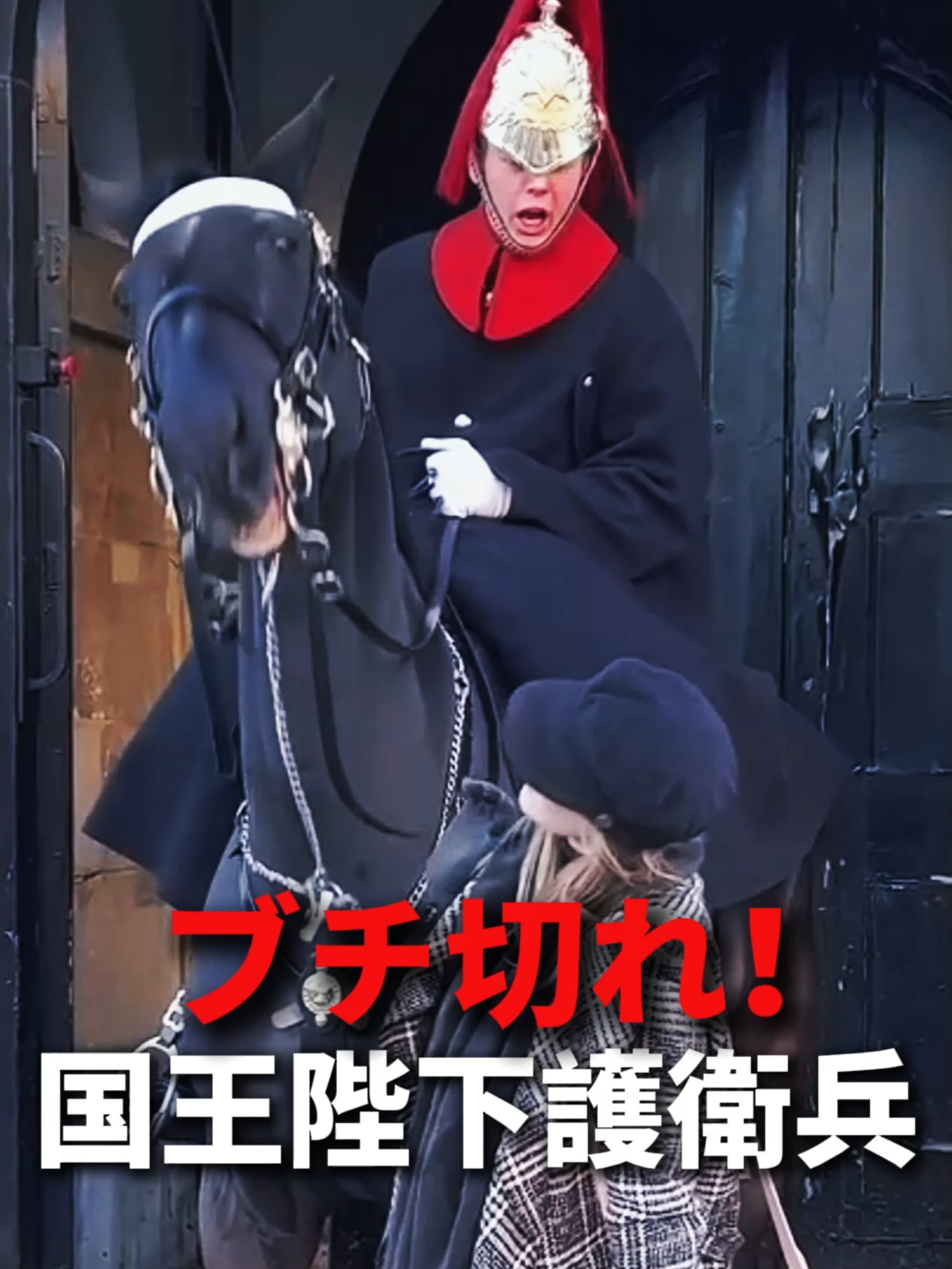 【絶対NG】国王護衛兵が観光客にブチギレる本当の理由！知らずに触るとヤバい！ #バッキンガム宮殿 #衛兵 #英国王室 #怒られる