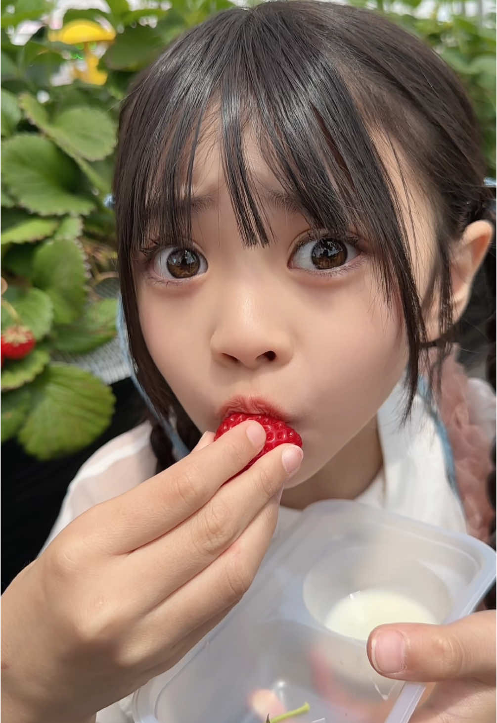 うま確すぎた～🍓😍