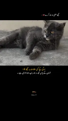 اور باپ کا سَر پے ہونا ہی .. !! دنیا کی سب سے بڑی دولت ہے .. !! 💗🥹🫂🌙 . . . . . #fyp #foryoupage #viewsproblem #foryou #poetrystatus
