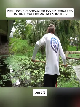 #fish #fishing #sentence #bellows 