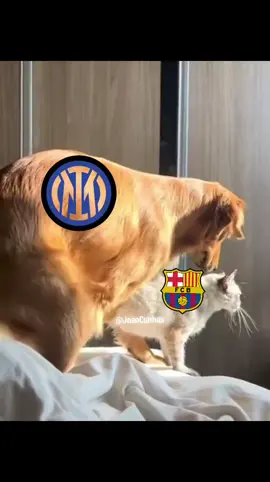 Inter💀 #edit  #footballedit  #liguedeschampions  #intermilan  #barcelona 