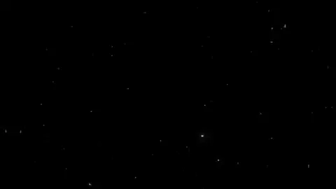 ابدا لا لن نحيدا ☝🏻🤍#fyp #foryou #foryoupage #foryoupageofficial ##مصر #السعودية #العراق #ابو_حنيفة_النعمان #الامام_مالك #الشافعي #احمد_بن_حنبل #ابو_بكر_الصديق #عمر_بن_الخطاب #عثمان_بن_عفان #علي_بن_ابي_طالب #أناشيد #اناشيد_بدون_موسيقى 