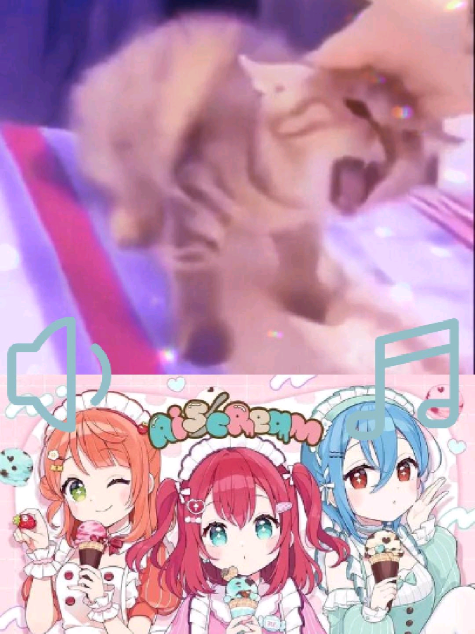 You wouldn't snitch on him right? 😳 #aiscream #cover #catcore #cat #lovelive #idol #japan #anime #kawaii #nonchalant 