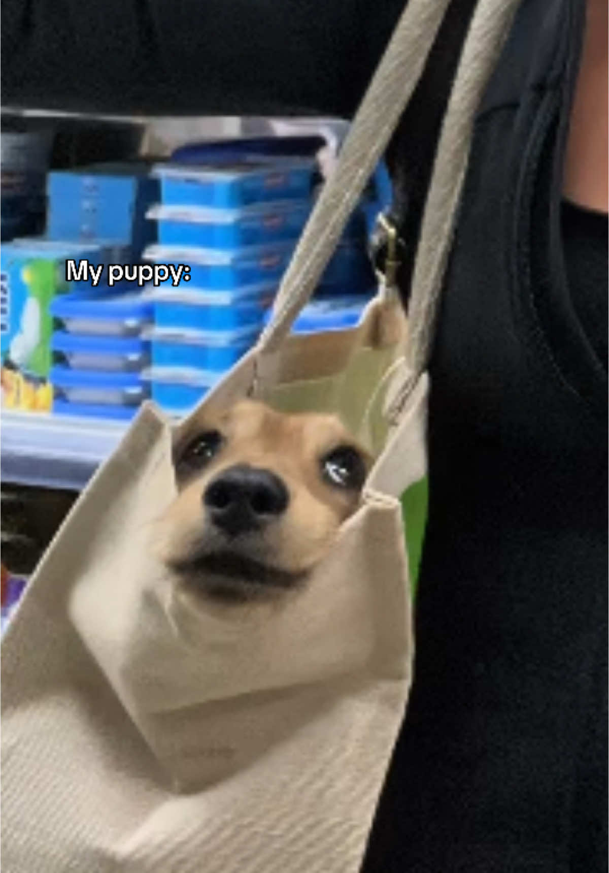 🥹 #fyp
