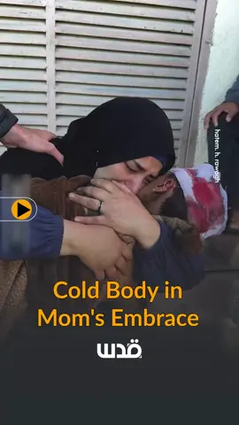 Cold Body in Mom's Embrace This is another farewell from a mother to her little child. Mrs. Mahmoud lost her husband, Mohammed, and child Qassem in a sudden Israeli attack on Abu Hamisa school in the heart of Al-Bureij camp in Central Gaza Strip. The two attacks on the school, locating amid a public market, have claimed the lives of over 50 people and injured over 100 others, so far. While the Intelligence officers warned the houses nearby of evacuating the mosque in the square, they hit hard the two Abu Hamisa schools next to the mosque, causing two bloody massacres on the ground. #war #freepalestine #palestine #ceasefire #gaza