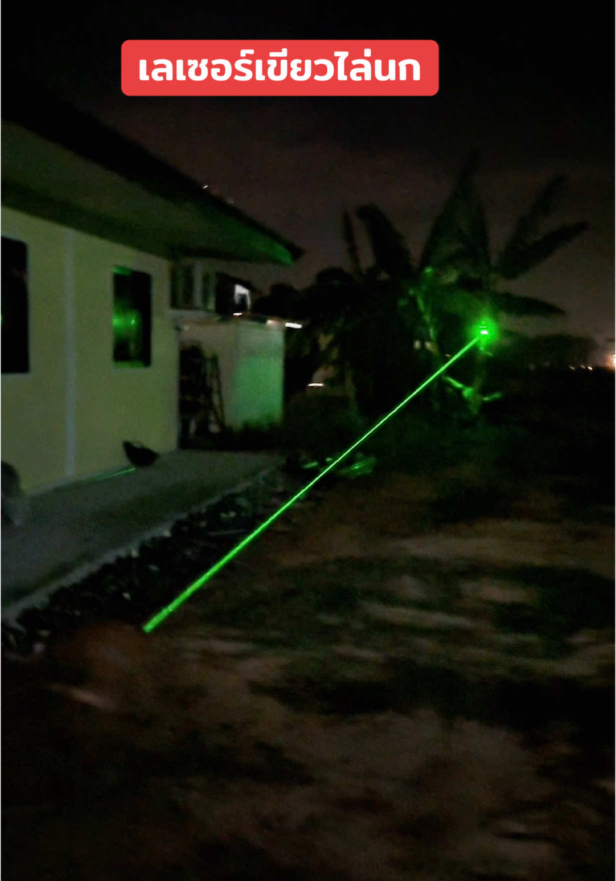 เลเซอร์ไล่นก#เลเซอร์ไล่นก 