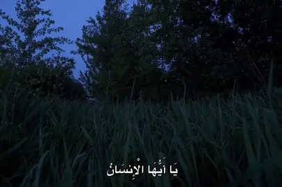 #محمد_صديق_المنشاوي #المنشاوي #fyp #quran #🎧 