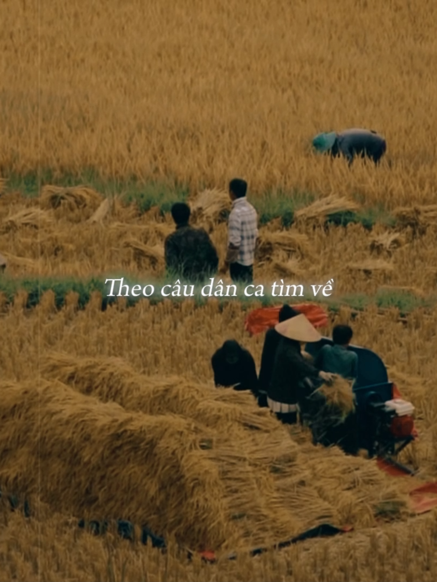 Nhớ kỷ niệm xưa #antertainment #betamusic #giaidieuxua #canhdep #canhdepthiennhien #nhac #quehuong #lofi #huongly #timve #chatoinguoiolai