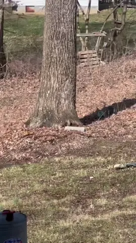 Strong wind weather #weather #strongwind #wind #asmr 