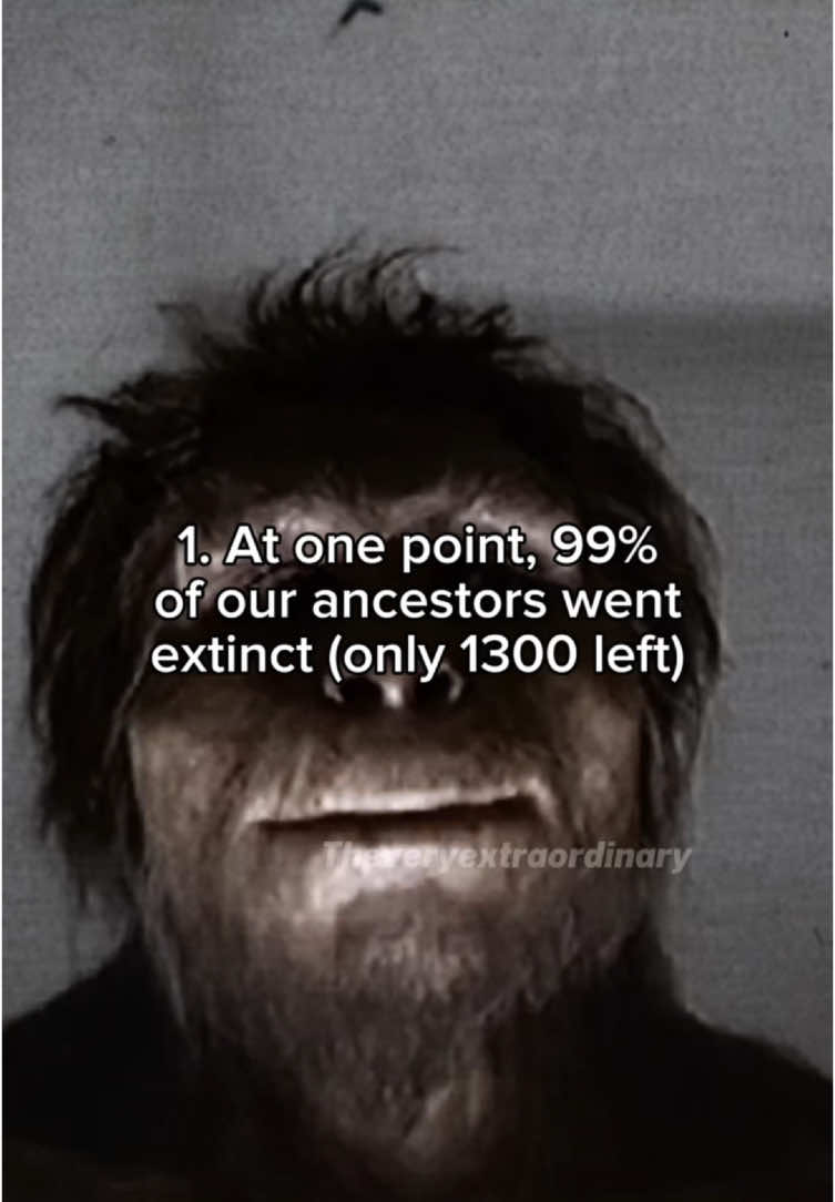 How did we survive this😂💀 shows how strong our ancestors were! #prehistoric #extinctanimals #iceage #earlyhumans 