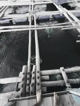 Vì thương em..