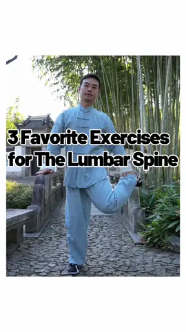 🤗These exercises are simple and easy to learn, and they can strengthen your core muscles and enhance the health of your lumbar spine without you even realizing it. Start practicing them now! ✨If you find this helpful, don't forget to share it with those around you who might need it.✨ #taichi #exercise #practice #newyorkcity #nyctiktok #healthy #wellness #healthylifestyle #wellnesstips #lowerbackpain #waist #spinehealth #spine #moveeveryday #fyp 