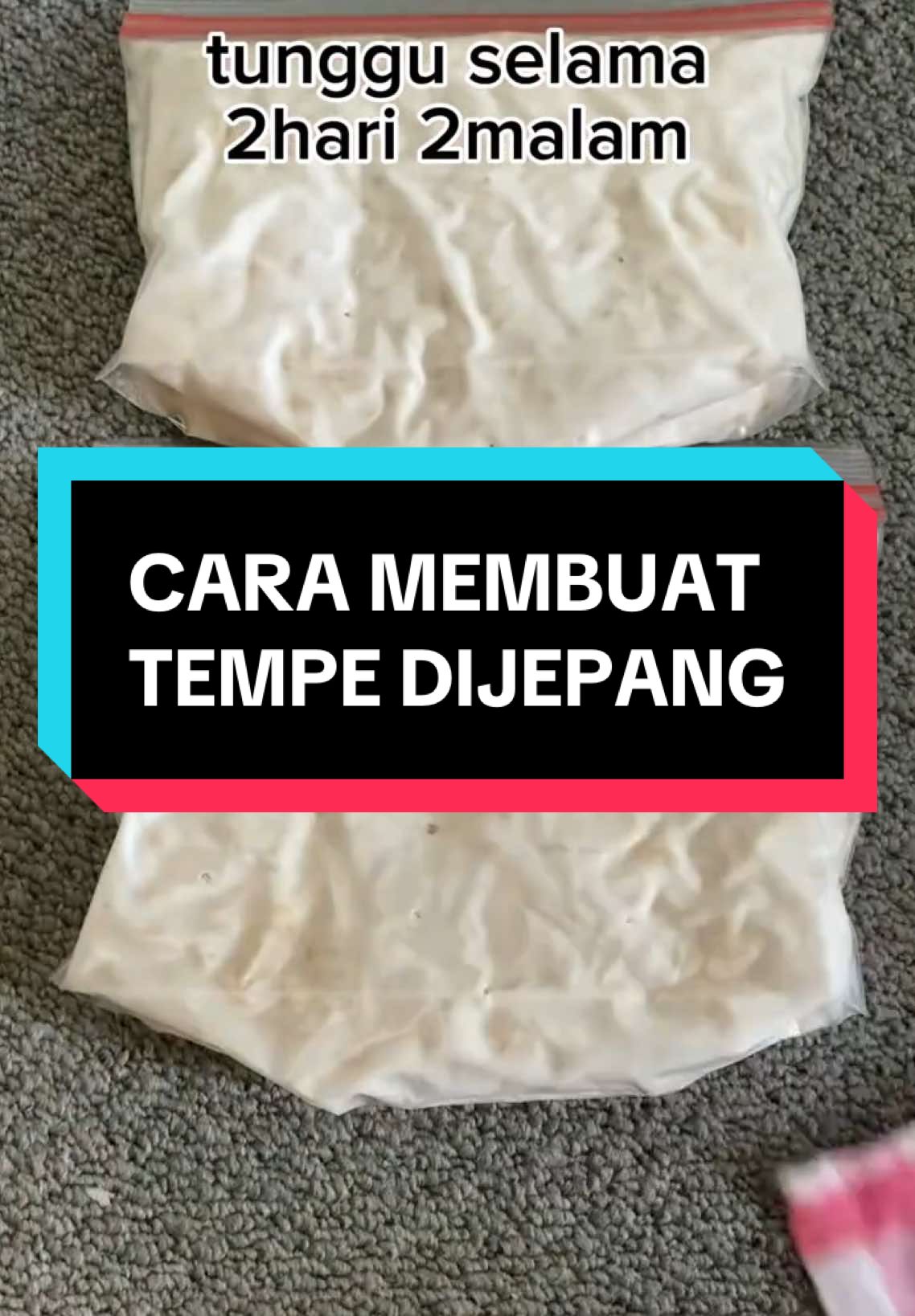 Resep membuat tempe dijepang anti gagal dan enak ❤️ Cuci lalu rendam kendelai 5 jam Setelah itu rebus kedelai 30 menit Setelah 30 menit jngan dibilas biarkan saja selama 12 jam Setelah 12 jam baru bersihkan sampai tidak ada kulit ari Rebus Lg selama 50-60 menit Setelah di rebus buang air dan tiriskan Jangan di sentuh dengan tangan Setelah tiris tidak ada air dan dingin masukan ragi dan tepung beras/kanji Masukan kedelai ke plastik sesuai takaran selera masing-masing Tusuk2 plastik dan setelah plastik di tusuk2 taro tempe di tempat yg tidak terkena sinar matahari dan bungkus dengan kain supaya memaksimalkan proses fermentasi pada tempe Selamat proses fermentasi jangan sering di buka liat setelah 12jam apakah sudah jadi atau blm jika blm biarkan tutup kembali sampai benar2 jadi tempe NB : Cuaca / iklim mempengaruhi waktu dalam proses fermentasi tempe #fyppppppppppppppppppppppp #fyp #kenshuseijapan🇮🇩🇯🇵🎌 #tkijepang🇯🇵 #tokuteiginou #magangjepang #tkijapan🇮🇩🇯🇵 #tempe #mendoan 