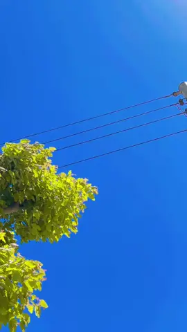 #Ragu #unfreezemyacount 